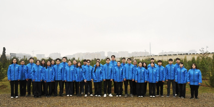 Bakıda ağacəkmə aksiyası keçirilib